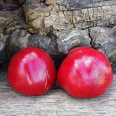 Danko sirds (Сердце Данко)